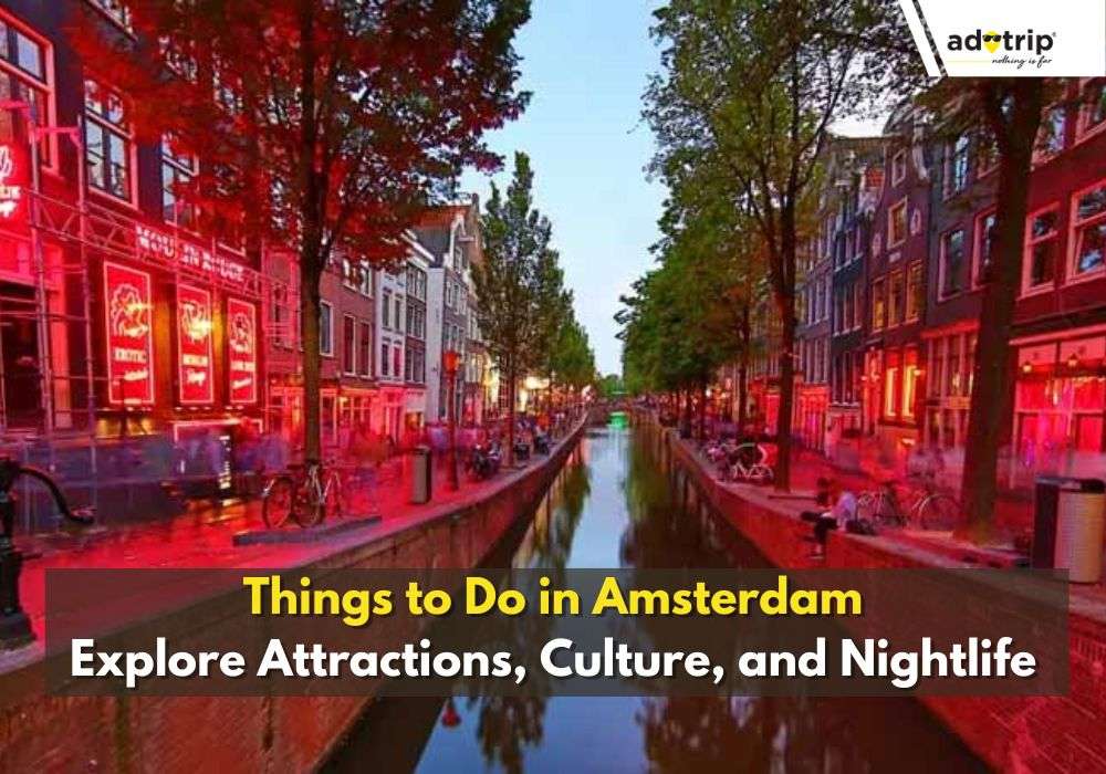 14 Best Things To Do In Amsterdam